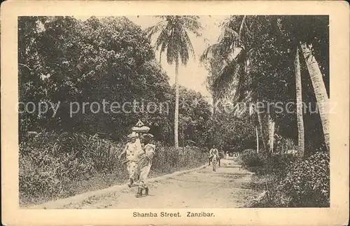 Zanzibar Shamba Street / Zanzibar /