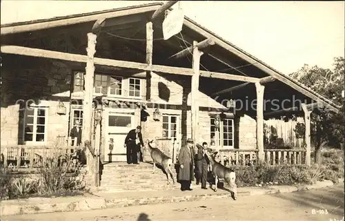 Grand Canyon Bright Angel Lodge Rehe / Grand Canyon National Park /