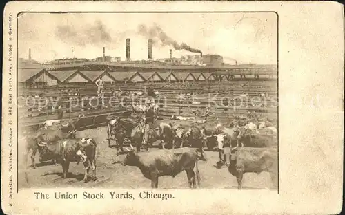 Chicago Illinois Union Stock Yards Industry / Chicago /