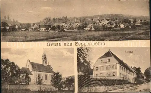 Seppenhofen  / Loeffingen /Breisgau-Hochschwarzwald LKR