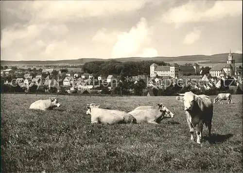 Messkirch mit Kuehen / Messkirch /Sigmaringen LKR