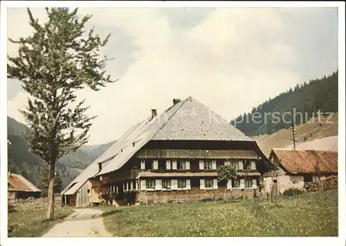 Menzenschwand altes Schwarzwaldhaus / St. Blasien /Waldshut LKR