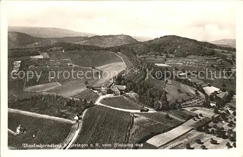 Ihringen Fliegeraufnahme Staatsweingut Blankenhornsberg Kaiserstuhl / Ihringen /Breisgau-Hochschwarzwald LKR