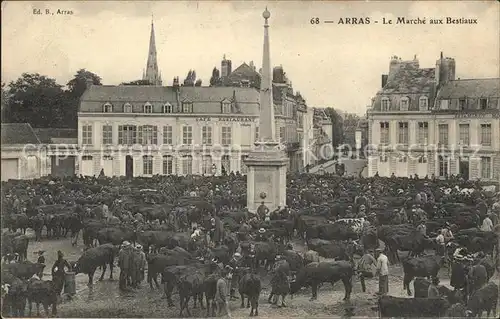 Arras Pas-de-Calais Marche aux Bestiaux / Arras /Arrond. d Arras