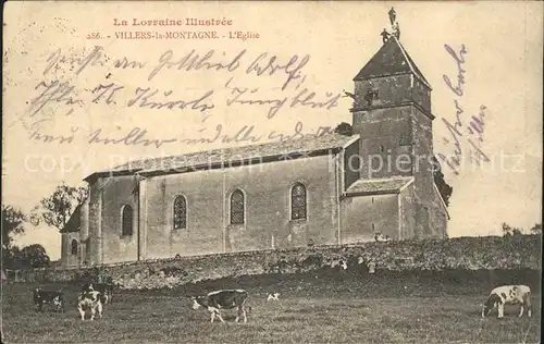 Villers-la-Montagne Eglise Vaches / Villers-la-Montagne /Arrond. de Briey