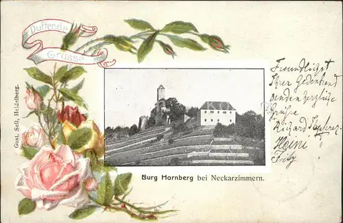 Neckarzimmern Burg Hornberg / Neckarzimmern /Neckar-Odenwald-Kreis LKR