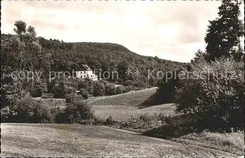 Bad Kreuznach Wald  Berghotel Bockenauer Schweiz  Kat. Bad Kreuznach