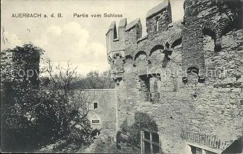 Auerbach Bergstrasse Partie vom Schloss Kat. Bensheim