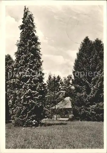 Burghaun Hastra Ferienheim Mahlertshof Park Gartenhaeuschen Kat. Burghaun