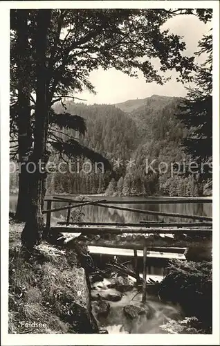 Feldberg Schwarzwald Feldsee Bruecke Kat. Feldberg (Schwarzwald)