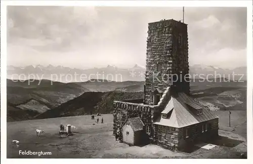 Feldberg Schwarzwald Feldbergturm Kat. Feldberg (Schwarzwald)