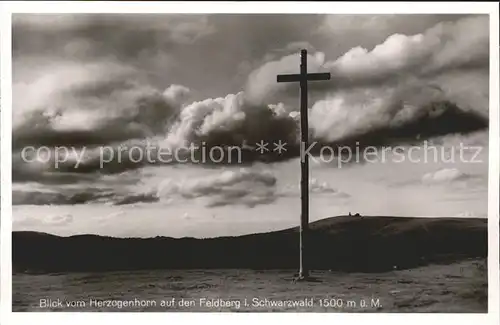 Feldberg Schwarzwald Blick vom Herzogenhorn Kreuz Kat. Feldberg (Schwarzwald)