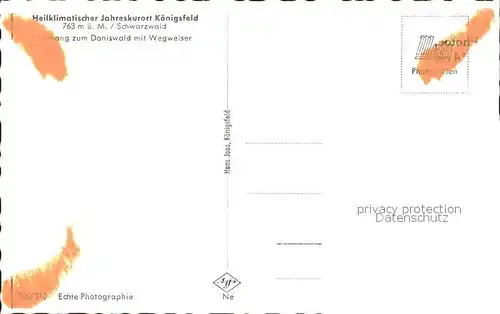 Koenigsfeld Schwarzwald Eingang zum Doniswald Wegweiser Kat. Koenigsfeld im Schwarzwald