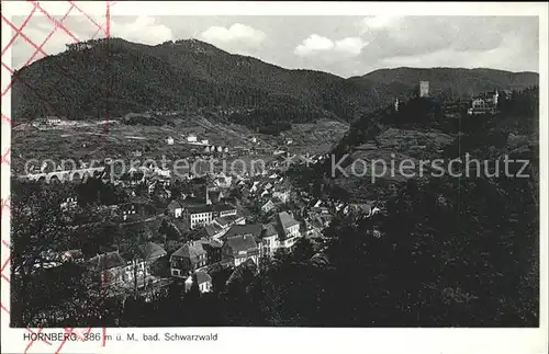 Hornberg Schwarzwald Schwarzwaldbahn Schloss Kat. Hornberg