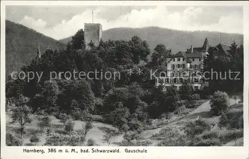 Hornberg Schwarzwald Gauschule Schloss Kat. Hornberg