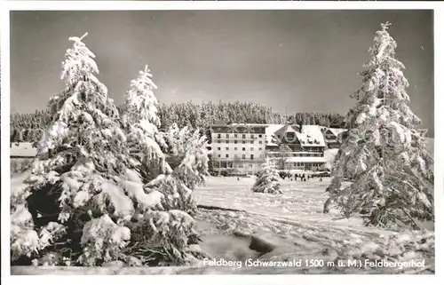 Feldberg Schwarzwald Hotel Feldbergerhof Kat. Feldberg (Schwarzwald)