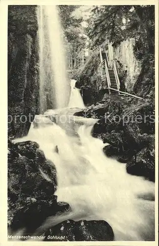 Menzenschwand Schlucht  Kat. St. Blasien