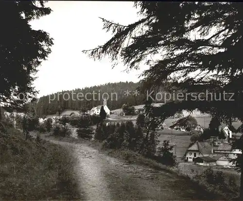 Eisenbach Schwarzwald  Kat. Eisenbach (Hochschwarzwald)