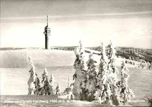 Feldberg Schwarzwald Fernsehturm Kat. Feldberg (Schwarzwald)