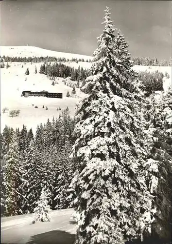 Feldberg Schwarzwald Leistungszentrum Herzogenhorn Kat. Feldberg (Schwarzwald)