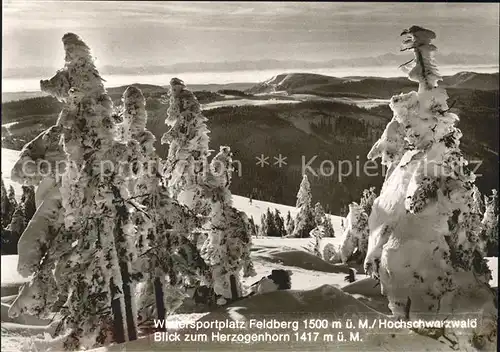 Todtnau Blick zum Herzogenhorn Fahl am Feldberg  Kat. Todtnau