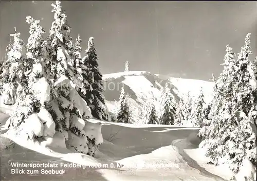 Feldberg Schwarzwald Blick zum Seebuck Kat. Feldberg (Schwarzwald)