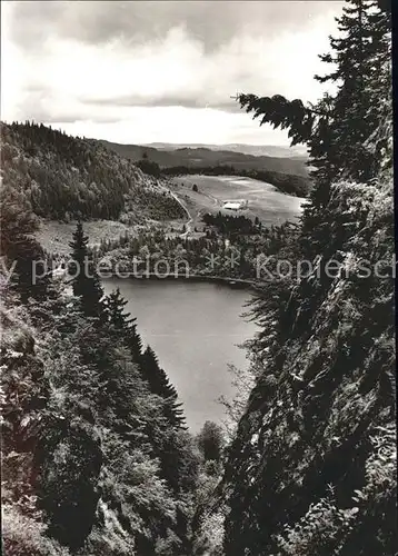 Feldberg Schwarzwald Feldsee  Kat. Feldberg (Schwarzwald)