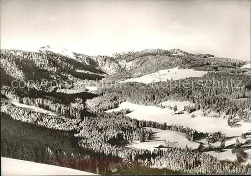 Feldberg Schwarzwald Baerental Blick zum Feldberg Kat. Feldberg (Schwarzwald)