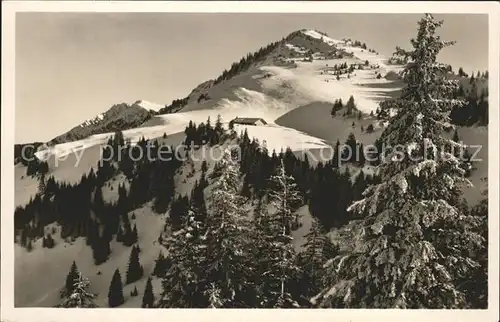 Oberstaufen Steibis Einegundkopf  Kat. Oberstaufen