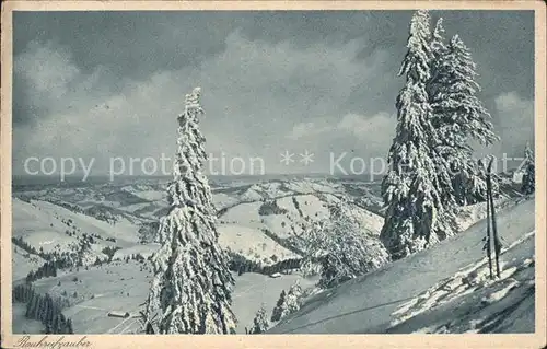 Oberstaufen Steibis Wettertannen Haetrich Rauhreif  Kat. Oberstaufen