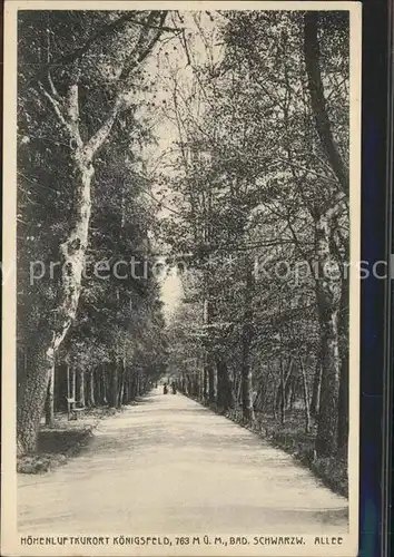 Koenigsfeld Schwarzwald Allee Baeume Kat. Koenigsfeld im Schwarzwald