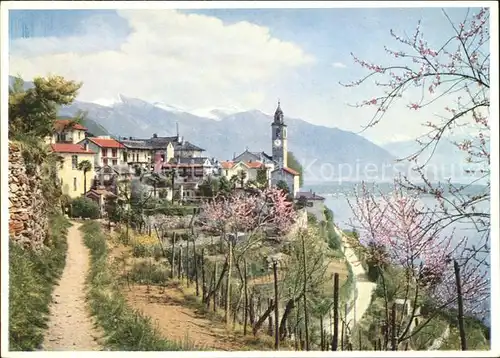 Ronco TI Ortsansicht mit Kirche im Fruehling Lago Maggiore Schweizer Wandkalender 1959 / Ronco /Bz. Locarno