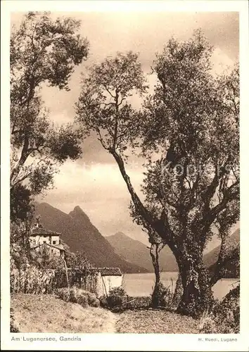 Gandria Lago di Lugano Partie am Luganersee Kat. Gandria