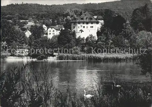 Biberstein Partie an der Aare Schwan Schloss Kat. Biberstein