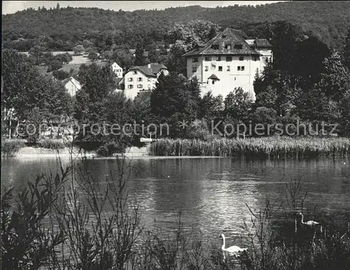 Biberstein Partie an der Aare Schwan Schloss Kat. Biberstein