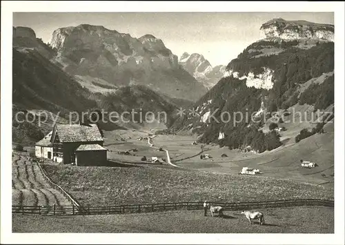 Wasserauen Ebenalp Wildkirchli Altmann Gloggern Bauernhof Kuehe Alpenpanorama Kat. Schwende