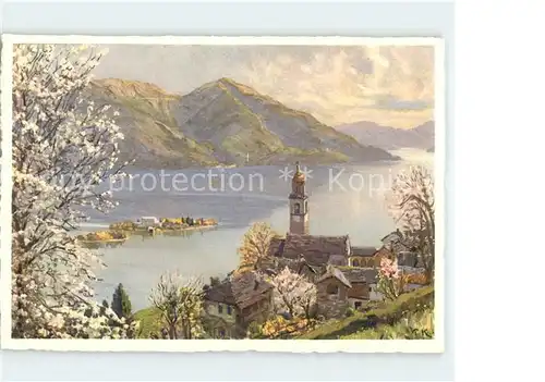 Ronco TI Panorama Lago Maggiore Baumbluete Kuenstlerkarte / Ronco /Bz. Locarno