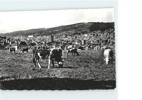 La Chaux de Fonds Vue generale Vaches Kat. La Chaux de Fonds