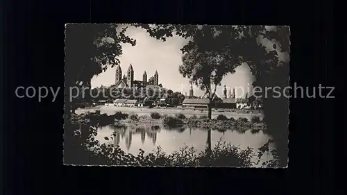 Speyer Rhein Vue de la Rive droite du Rhin Kat. Speyer