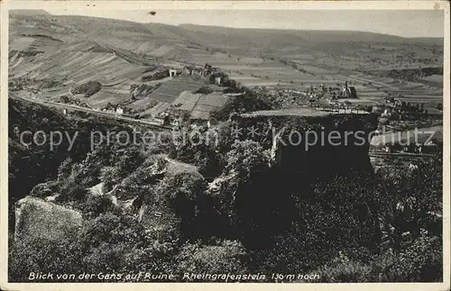 Bad Muenster Stein Ebernburg Blick v.d. Gans auf Ruine Rheingrafenstein  / Bad Muenster am Stein-Ebernburg /Bad Kreuznach LKR