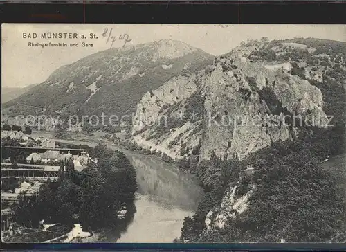 Bad Muenster Stein Ebernburg Rheingrafenstein Gans / Bad Muenster am Stein-Ebernburg /Bad Kreuznach LKR