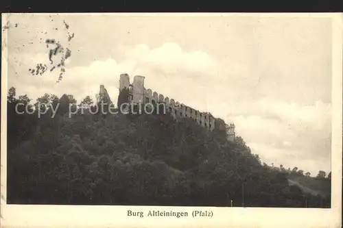 Altleiningen Burg Kat. Altleiningen