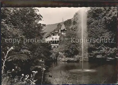 Koenigsmuehle Neustadt Weinstrasse Teich Fontaene Luftkurort Kat. Neustadt an der Weinstr.