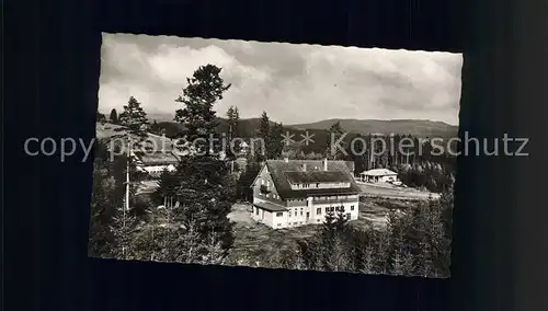 Baerental Feldberg Waldhotel Andris Kat. Feldberg (Schwarzwald)