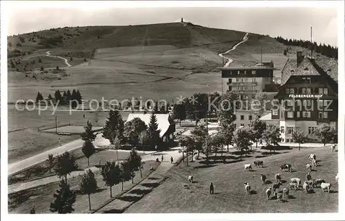 Feldberg Schwarzwald Hotel Feldbergerhof Kuehe Kat. Feldberg (Schwarzwald)