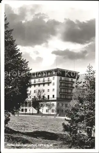 Feldberg Schwarzwald Hotel Feldbergerhof Kat. Feldberg (Schwarzwald)