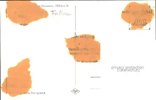 Falkau  Kat. Feldberg (Schwarzwald)