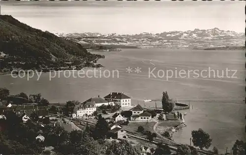 Ludwigshafen Bodensee mit Alpen Kat. Bodman Ludwigshafen