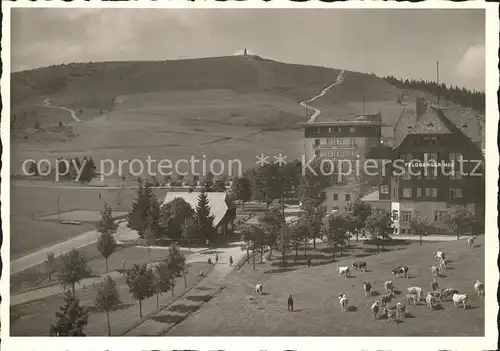 Feldberg Schwarzwald Hotel Feldbergerhof Kat. Feldberg (Schwarzwald)