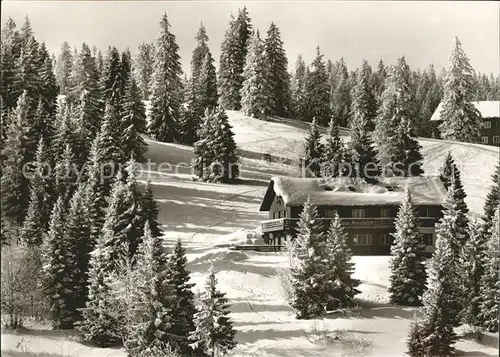 Feldberg Schwarzwald Gasthaus Pension zum Auerhahn Kat. Feldberg (Schwarzwald)